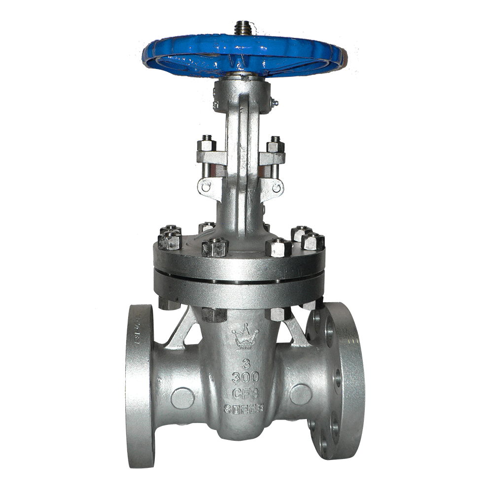 Stainless Steel Gate Valve
